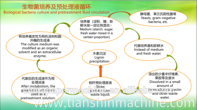 Cotton Straw Pulp Rice Straw Pulp